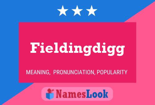 Fieldingdigg Namensposter