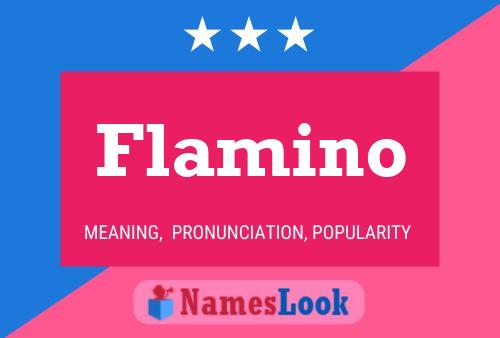 Flamino Namensposter