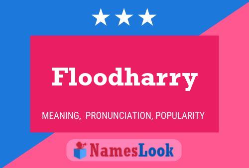 Floodharry Namensposter