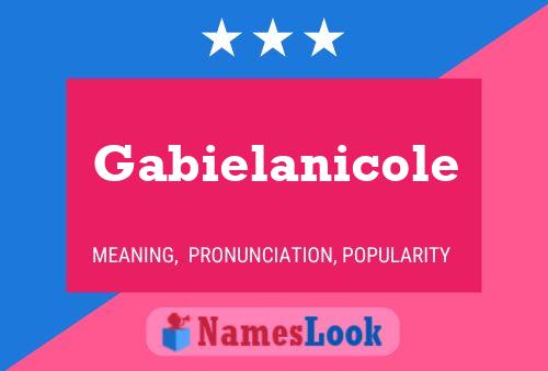 Gabielanicole Namensposter