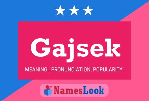 Gajsek Namensposter