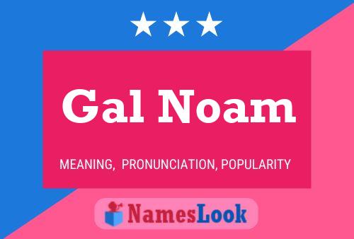 Gal Noam Namensposter