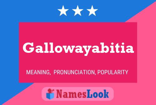 Gallowayabitia Namensposter