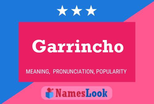 Garrincho Namensposter