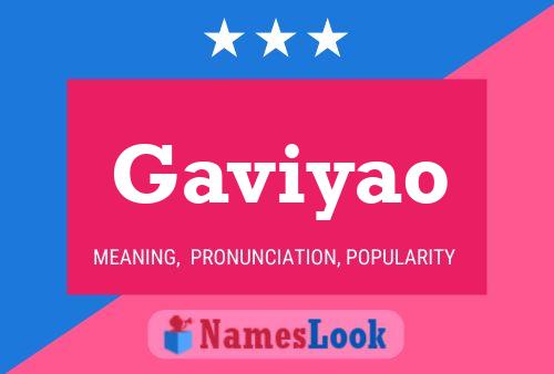 Gaviyao Namensposter