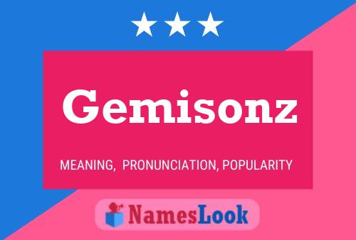 Gemisonz Namensposter