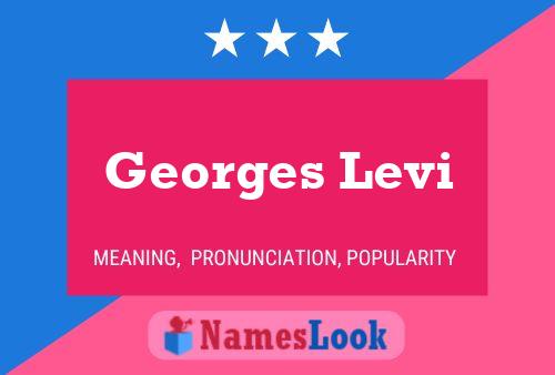 Georges Levi Namensposter