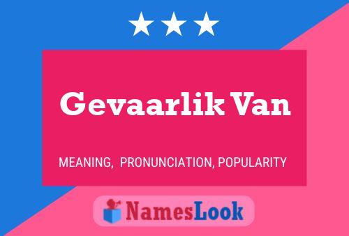 Gevaarlik Van Namensposter