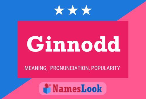 Ginnodd Namensposter