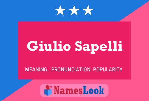 Giulio Sapelli Namensposter