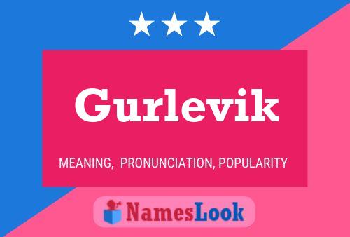 Gurlevik Namensposter