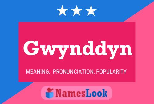 Gwynddyn Namensposter