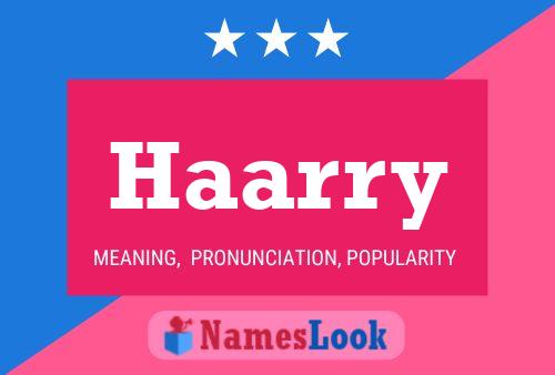 Haarry Namensposter