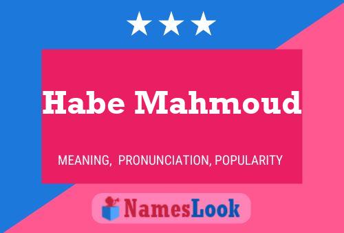 Habe Mahmoud Namensposter