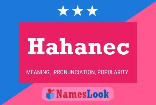 Hahanec Namensposter