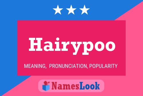 Hairypoo Namensposter