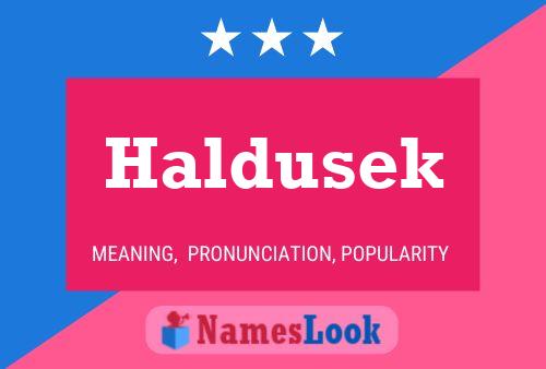 Haldusek Namensposter