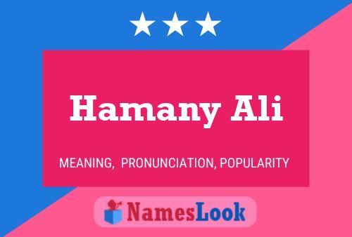 Hamany Ali Namensposter