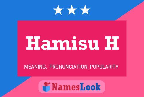 Hamisu H Namensposter