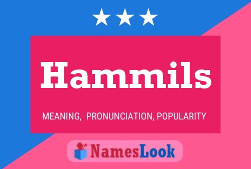 Hammils Namensposter