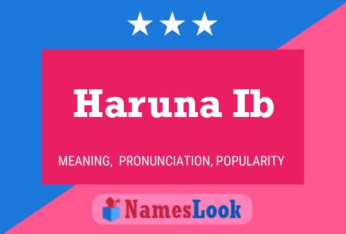 Haruna Ib Namensposter