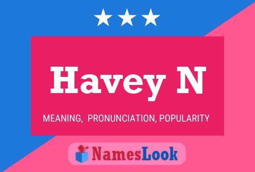 Havey N Namensposter