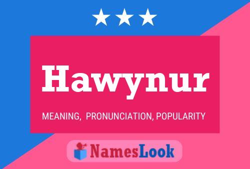 Hawynur Namensposter