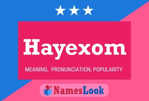 Hayexom Namensposter