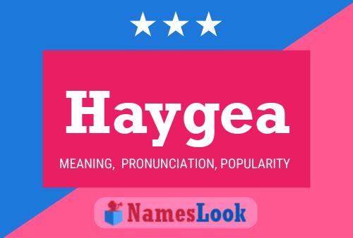 Haygea Namensposter