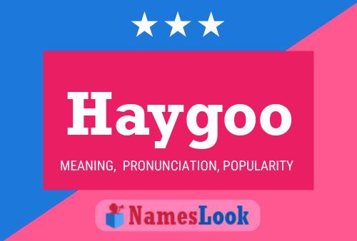 Haygoo Namensposter