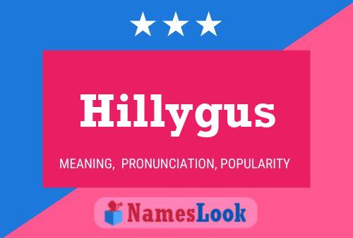 Hillygus Namensposter