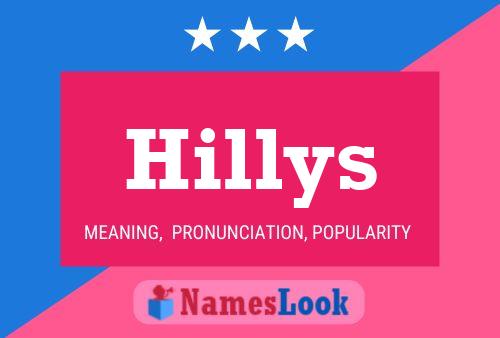 Hillys Namensposter