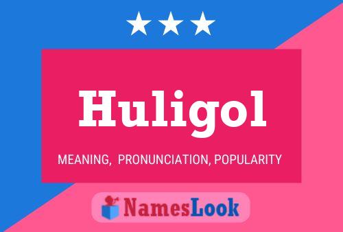 Huligol Namensposter