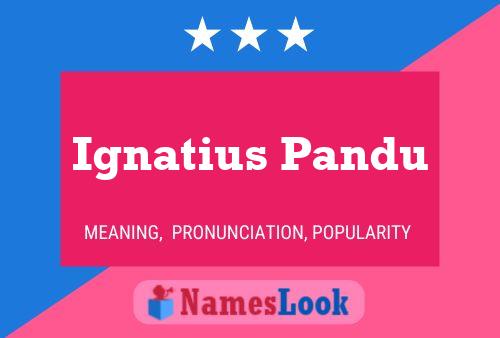 Ignatius Pandu Namensposter