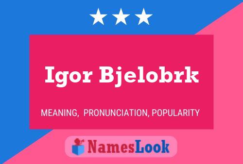 Igor Bjelobrk Namensposter