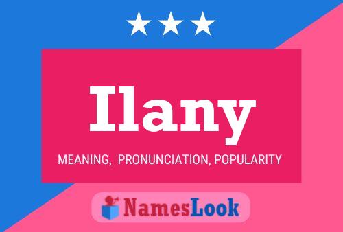 Ilany Namensposter