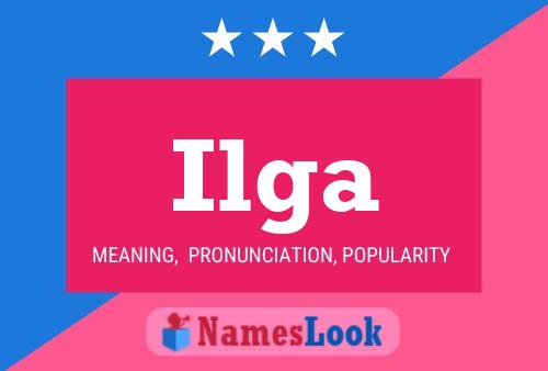 Ilga Namensposter