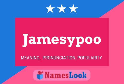 Jamesypoo Namensposter