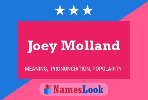 Joey Molland Namensposter