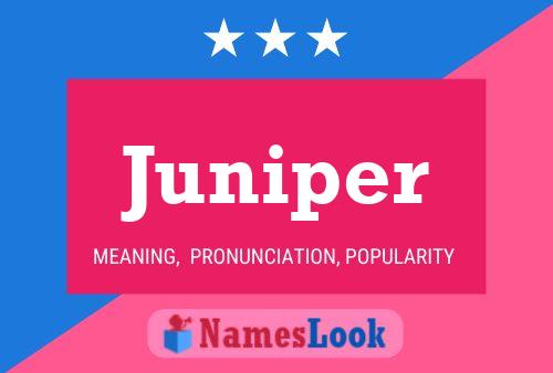 Juniper Namensposter