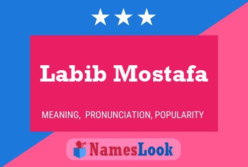 Labib Mostafa Namensposter