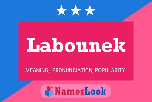 Labounek Namensposter