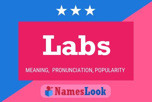 Labs Namensposter