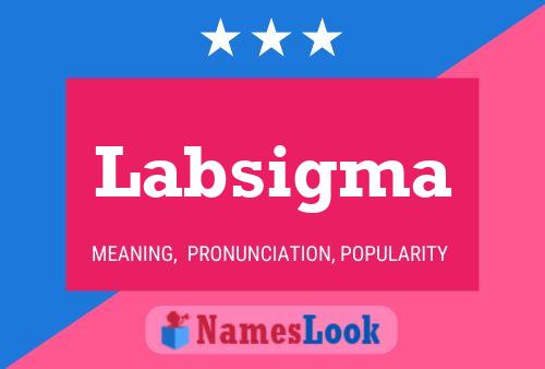 Labsigma Namensposter