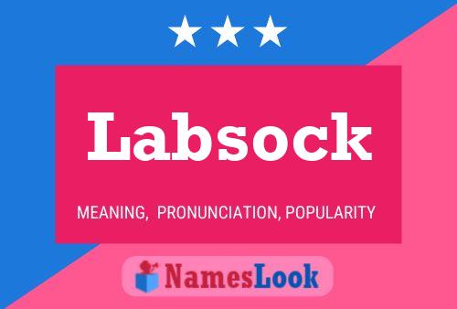 Labsock Namensposter