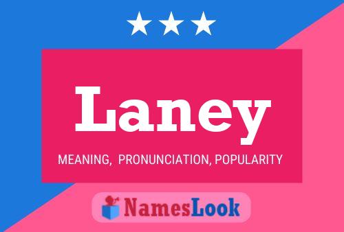 Laney Namensposter