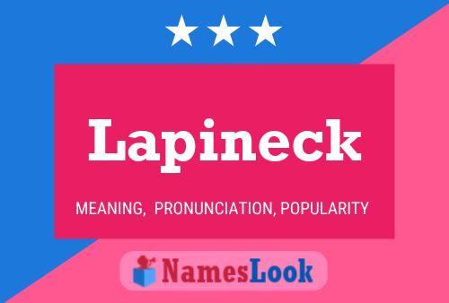 Lapineck Namensposter