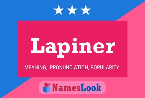 Lapiner Namensposter