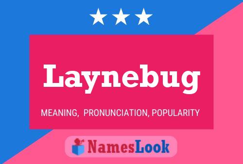 Laynebug Namensposter