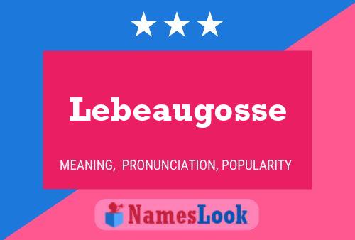 Lebeaugosse Namensposter